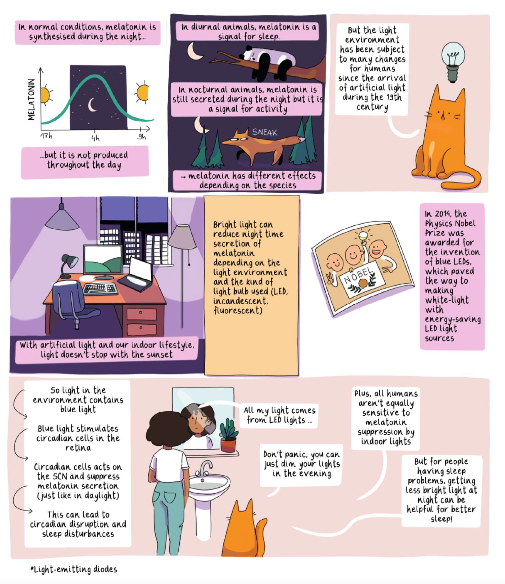 A comic book to help you discover your biological clock